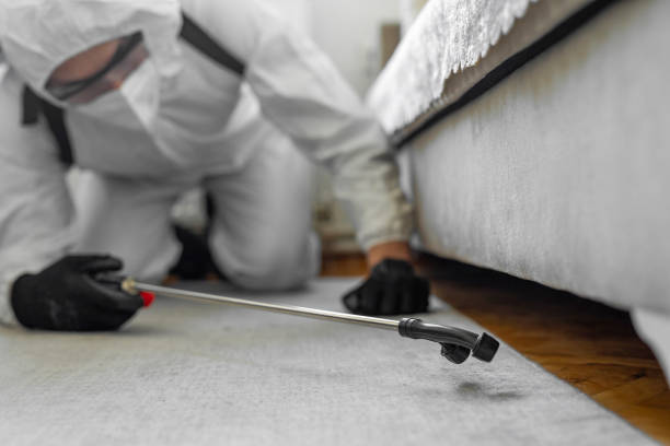 Professional Bed Bug Control technician working in Somerset County County, MD